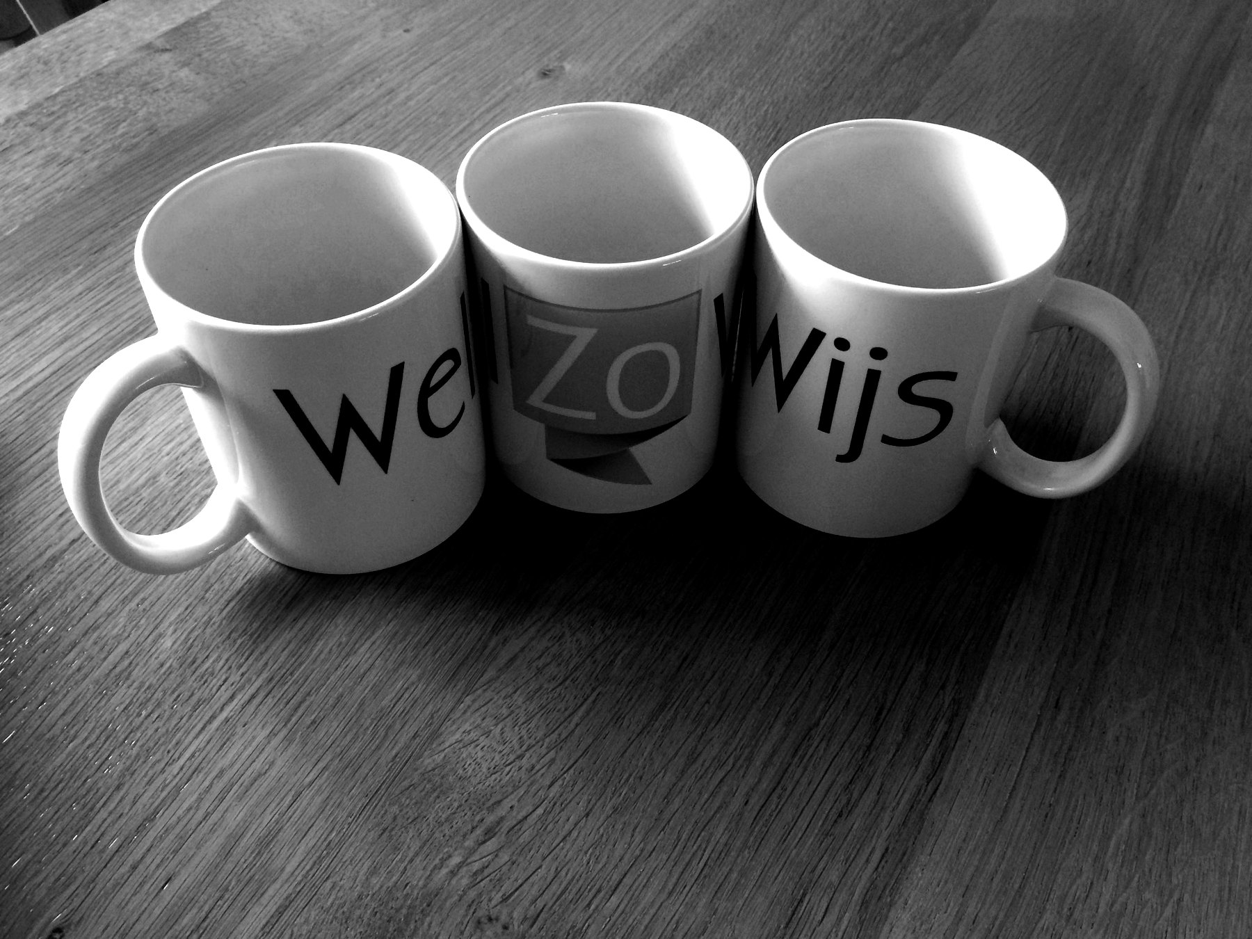 WelZoWijs in details
